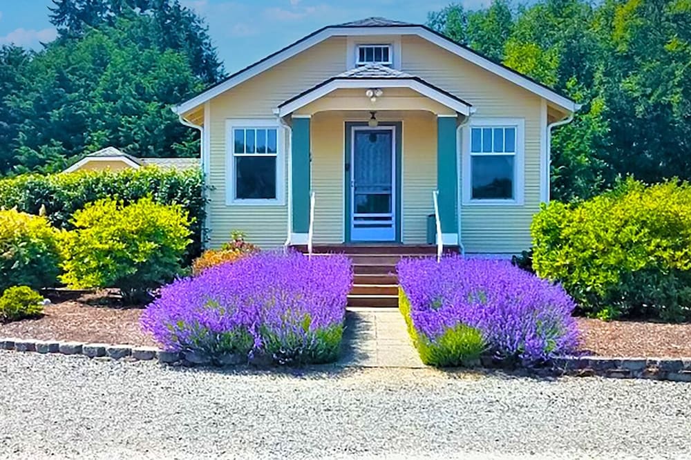 ChienNoir: House on Five Acres, Olympic Mountain Views, Pet Friendly
