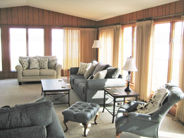 Televisión, chimenea y reproductor de DVD