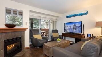 Smart TV, fireplace, DVD player, books