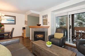 TV connectée, cheminée, lecteur de DVD, livres