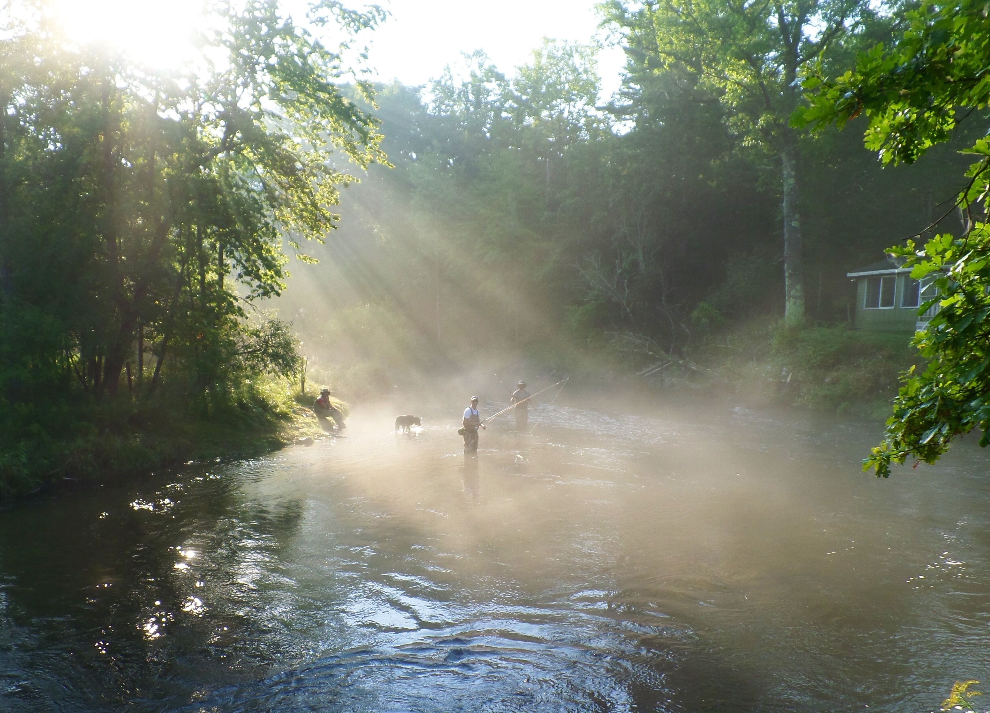 Pere Marquette River 'fly's Only Section' 6000 Feet Of River Frontage