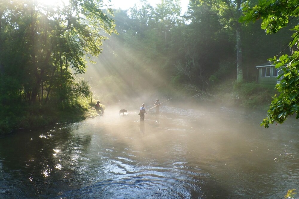 Pere Marquette River 'fly's Only Section' 6000 Feet Of River Frontage