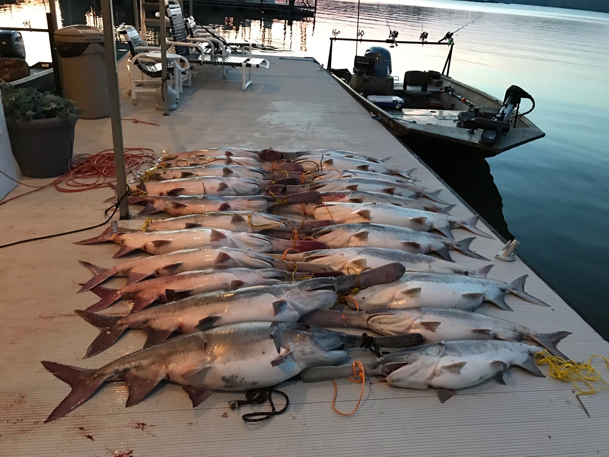 En brygga med flera fiskar utlagda på däcket, en båt med fiskeutrustning och ett lugnt vattenområde i bakgrunden.