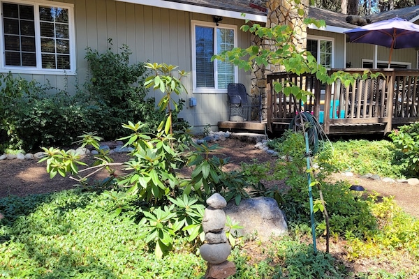 Welcome to A Mountain Rose