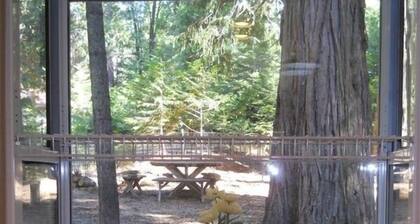 A Mountain Rose, Sly Park-LAKE, APPLE HILL, Wine, swim, snow, FUN! EVs welcome