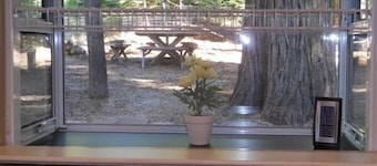 A Mountain Rose, Sly Park-LAKE, APPLE HILL, Wine, swim, snow, FUN! EVs welcome