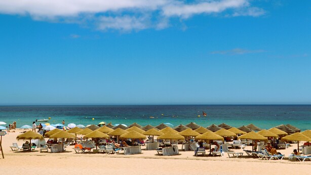 A beach with rows of sun loungers and thatched umbrellas. - Pure luxury - apartment in Baia da Luz Resort. Walk to beach. (Praia da Luz)