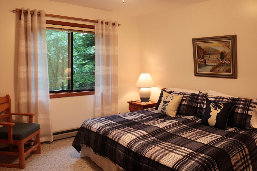 Ski Country Condo - Newly Remodeled!