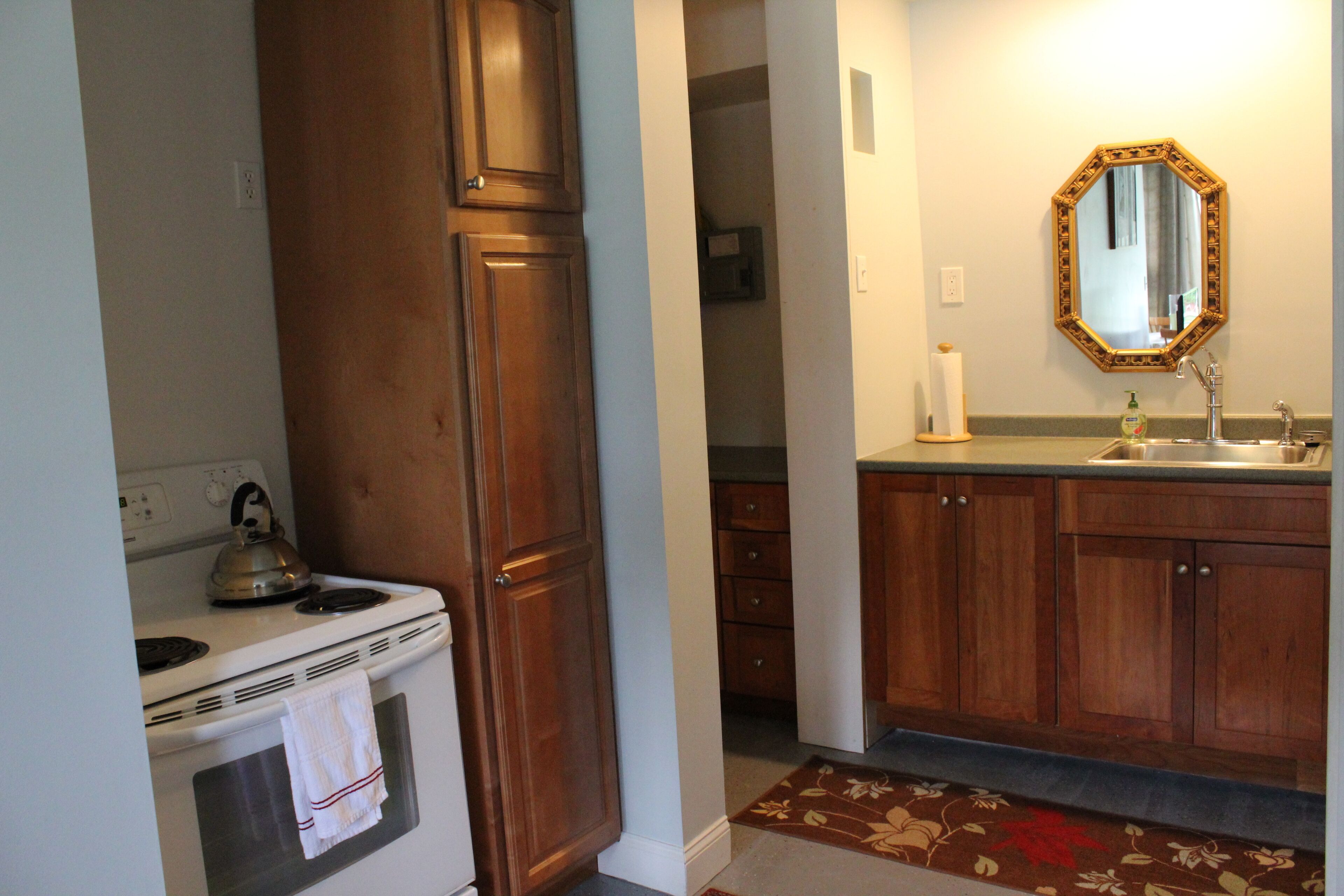 Large, well-appointed, Ground Level Apartment with lots of light ,sleeps 6