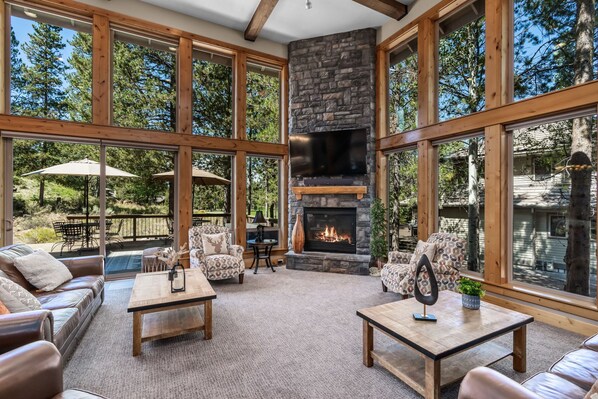 Télévision, cheminée, jeux vidéo, espaces bureaux