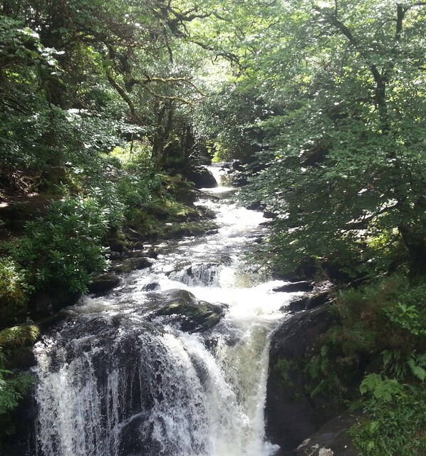 A waterfall in a forested area.