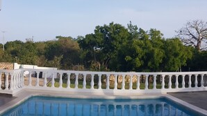 Ein Swimmingpool mit weißer Brüstung, umgeben von Grünpflanzen und Bäumen.