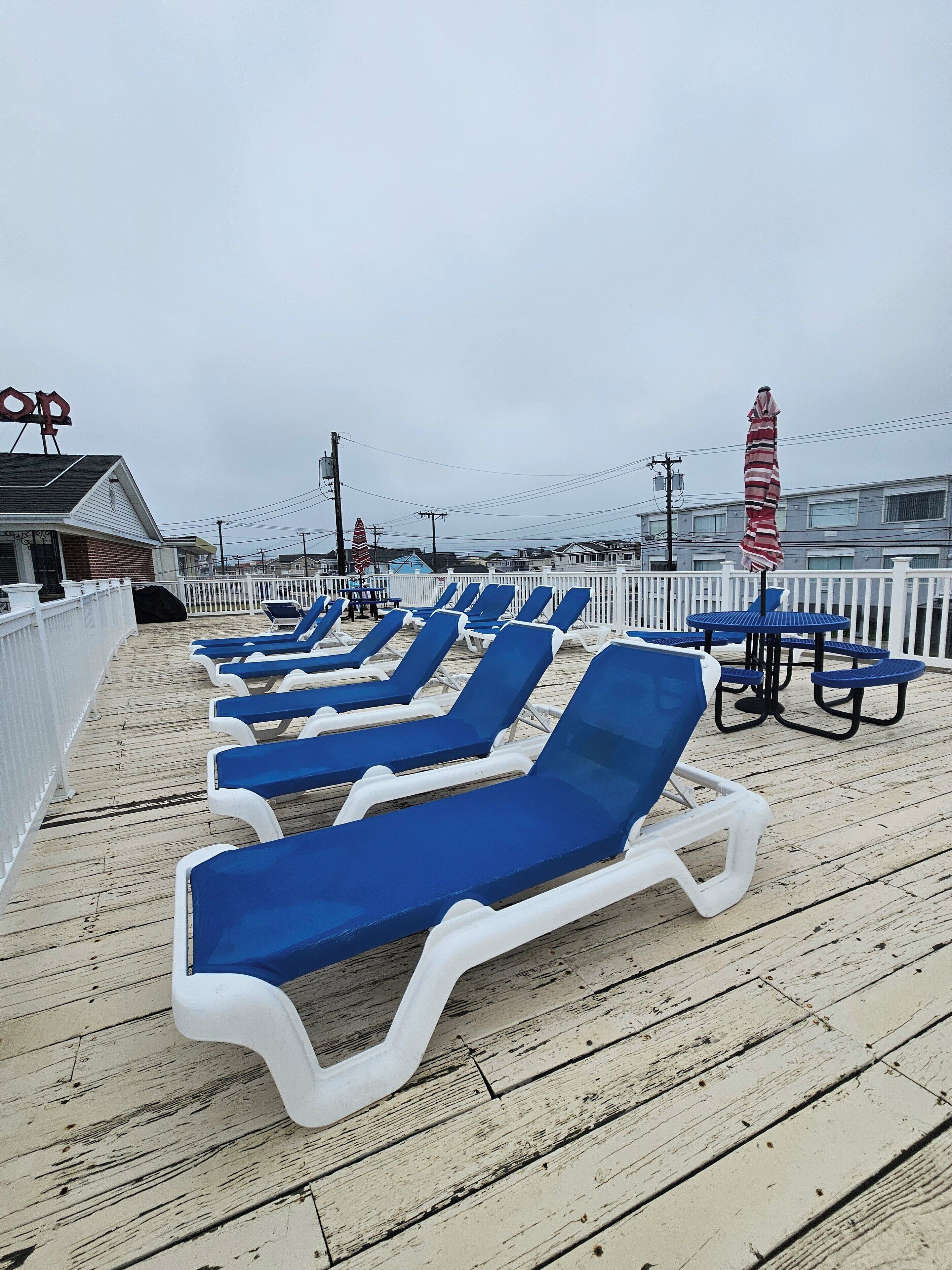 Une terrasse au bord de la plage, avec plusieurs rangées de chaises longues bleues et une petite table entourée de chaises.
