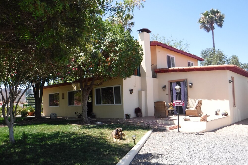 A country house in a vineyard