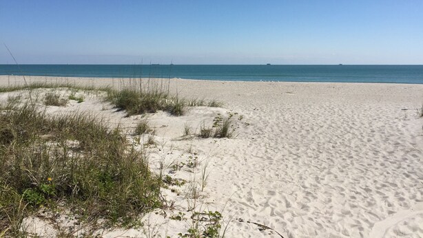 A sandy beach with sparse vegetation and a clear blue sky. - Comfy Beach Studio for 2 - Only a short walk to the beach. (Cape Canaveral)