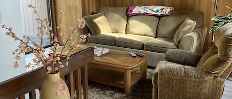 テレビ、暖炉、DVD プレーヤー、書庫