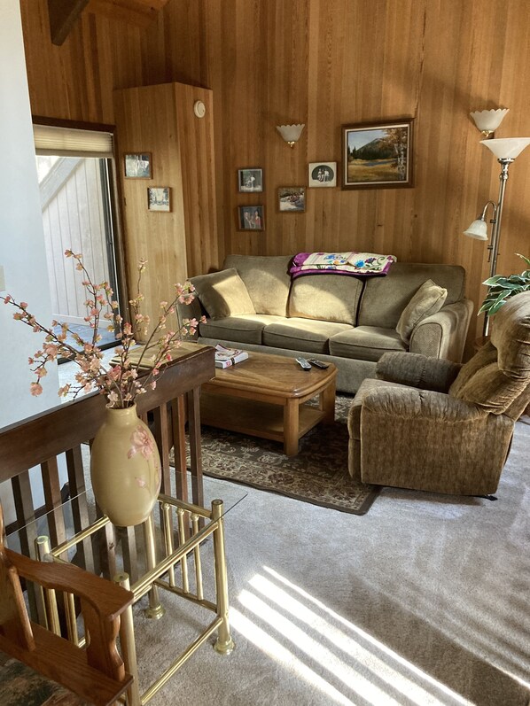 TV, fireplace, DVD player, books