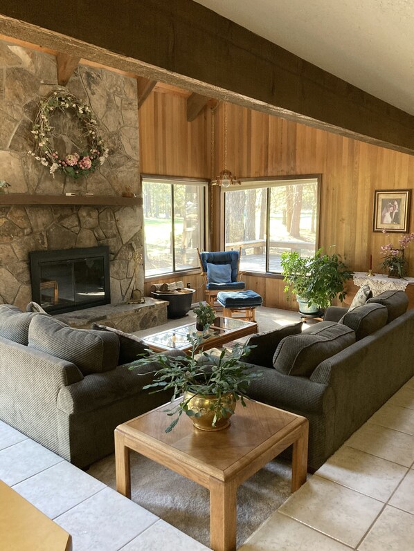 TV, fireplace, DVD player, books