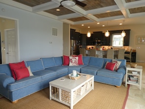 TV, fireplace, books