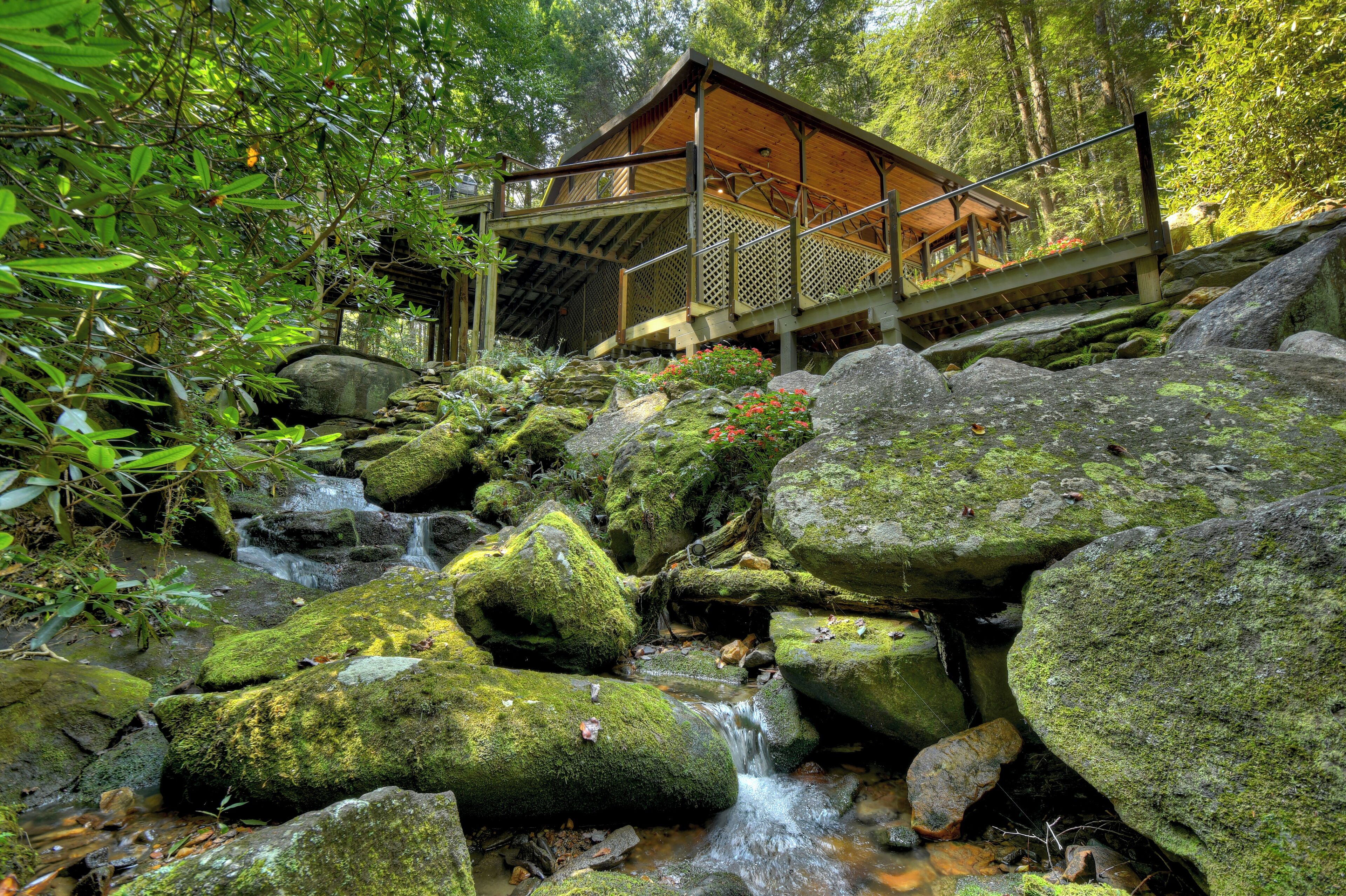 Privacy and Seclusion - Magical Creek Oasis & National Forest