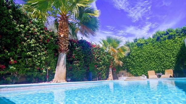Piscina cristalina con palmeras y abundante vegetación al fondo.