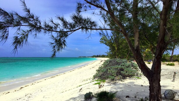 A beach with clear turquoise water, white sand, and a tree in the foreground. - Empyrean - Tangerine - Paradise in Whitby, North Caicos (Whitby)