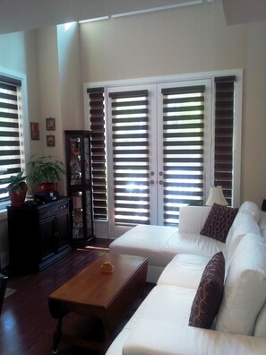 Smart TV, fireplace, DVD player, books