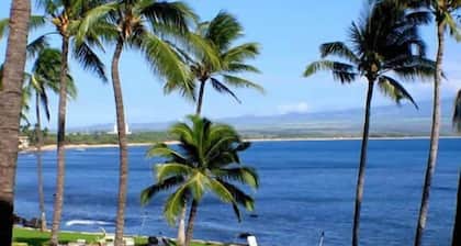 Oceanfront, Luxurious Bed & Bedding, Air Conditioned, fast WiFi!