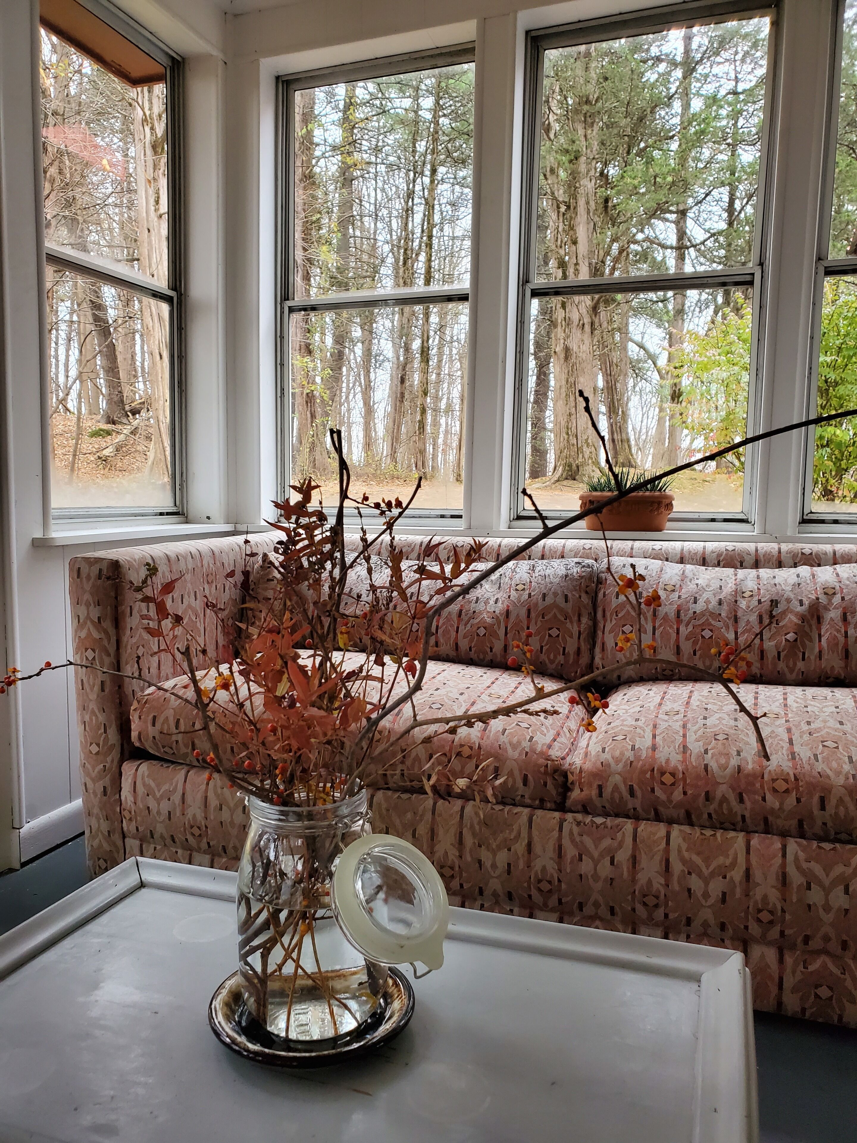 TV, fireplace, books