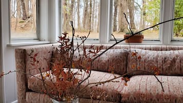 TV, fireplace, books