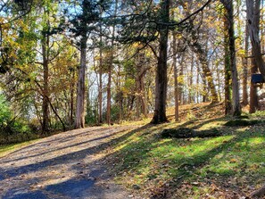 Terrain de l’hébergement