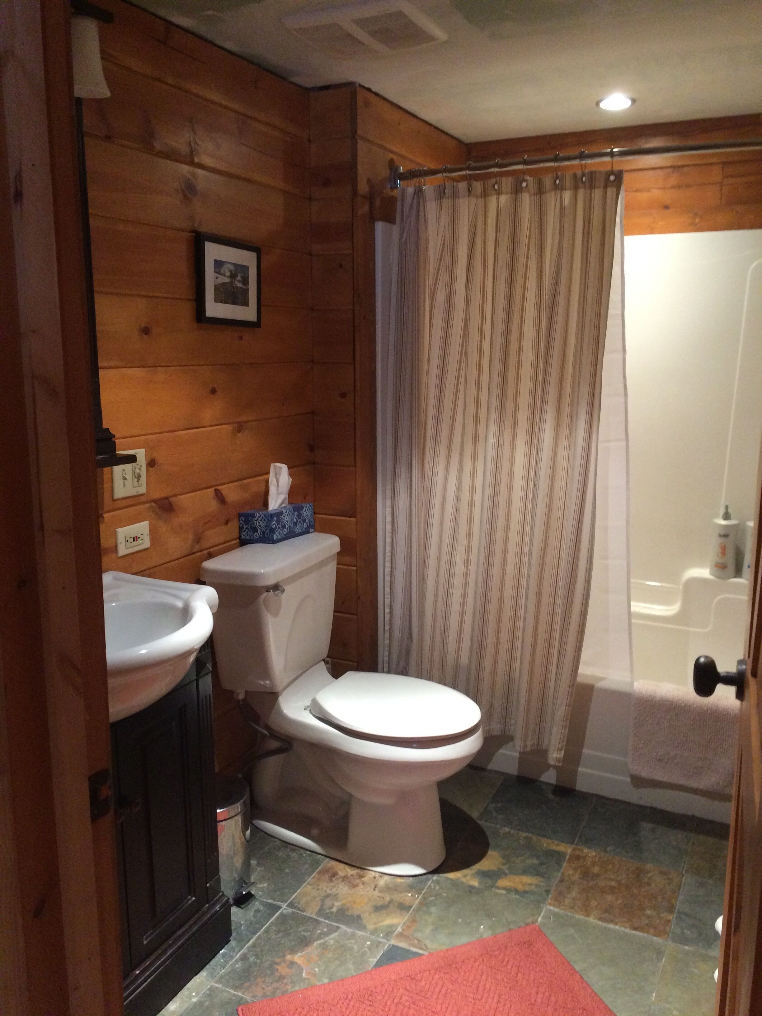 Beautiful Apple Canyon Lake Log Cabin in the Woods