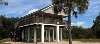 Tortue de mer Steinhatchee