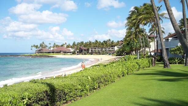Un hotel frente a la playa con una playa de arena, palmeras y vistas al océano.