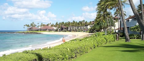 Ett hotell vid stranden med en sandstrand, palmer och utsikt över havet.