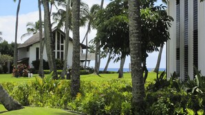 Un resort tropical con una casa grande, palmeras y vistas al océano.