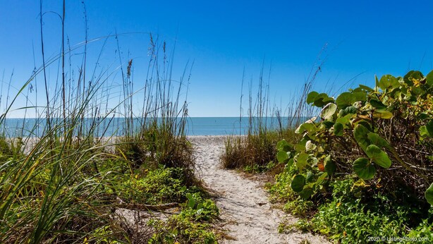 Un sentier de sable qui longe la plage et mène à l’océan, bordé de hautes herbes et d’un feuillage verdoyant.