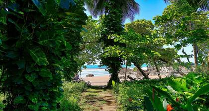 From Patio to the Pacific in Seconds, 3 Bdrm/3 Bath, Private Pool, Fast Wifi