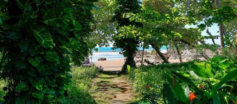From Patio to the Pacific in Seconds, 3 Bdrm/3 Bath, Private Pool, Fast Wifi