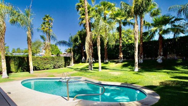 A swimming pool surrounded by palm trees and a well-maintained lawn.