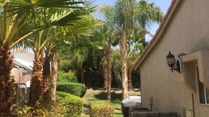 A residential area with a paved driveway, palm trees, and a house with a light fixture.