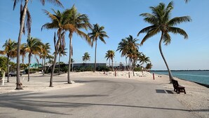 A beachside promenade with palm trees, a bench, and a clear view of the sea. - Springs Venture Out Dolphin House #386 with beautiful open water views (Cudjoe Key)