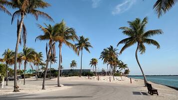 Liegestühle, Strandtücher