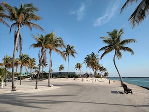 Stroll along the serene beachfront promenade lined with palm trees, leading to a sandy beach area.