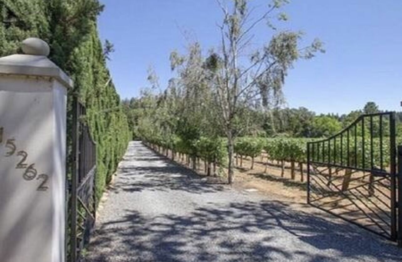 A pathway lined with trees and a metal gate, leading into a vineyard area.