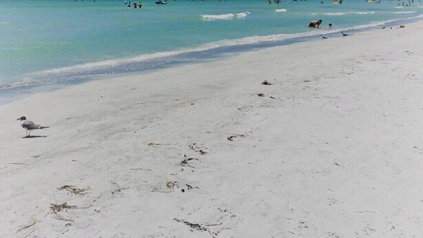 A beach with clear turquoise water and a sandy shore.