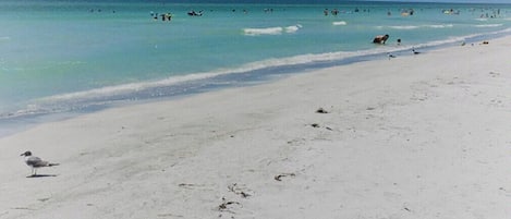 Playa