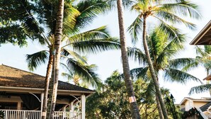 A pathway lined with palm trees and a building with a covered walkway.