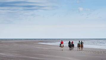 Liegestühle, Strandtücher