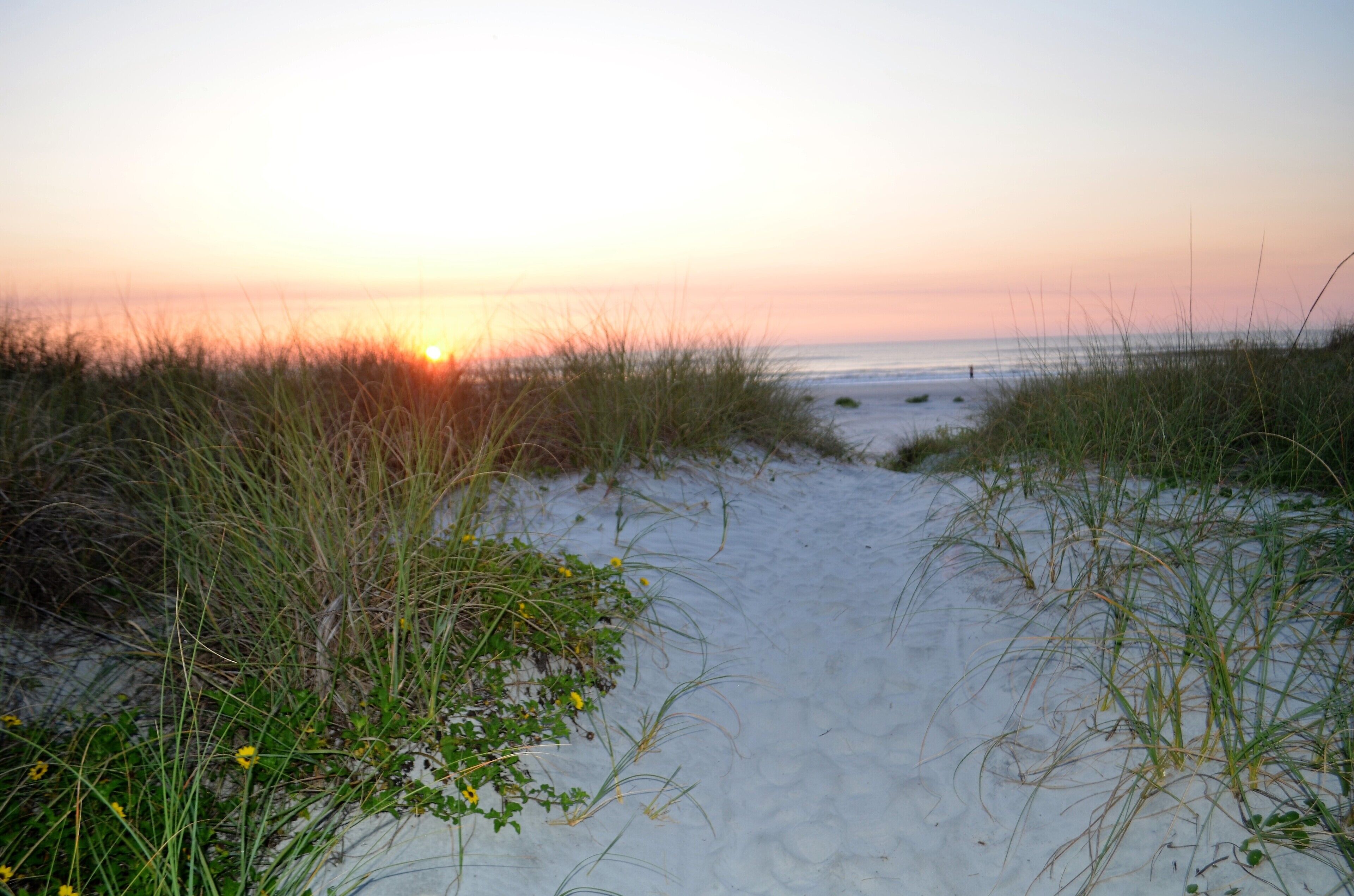 Nær stranden, solsenger og strandhåndklær
